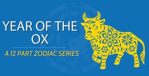 Chinese Zodiacs || Year of the Ox ? (A Complete Guide) Thumbnail
