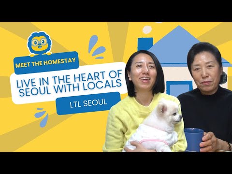 Meet the Homestay: Cozy Family in Chungmuro, Seoul // Homestay Experience With LTL